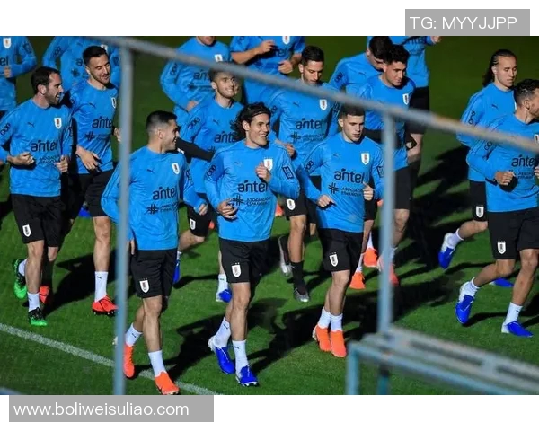 巴罗斯足球：探索这项运动的魅力与发展历程，激发年轻人的热情与梦想